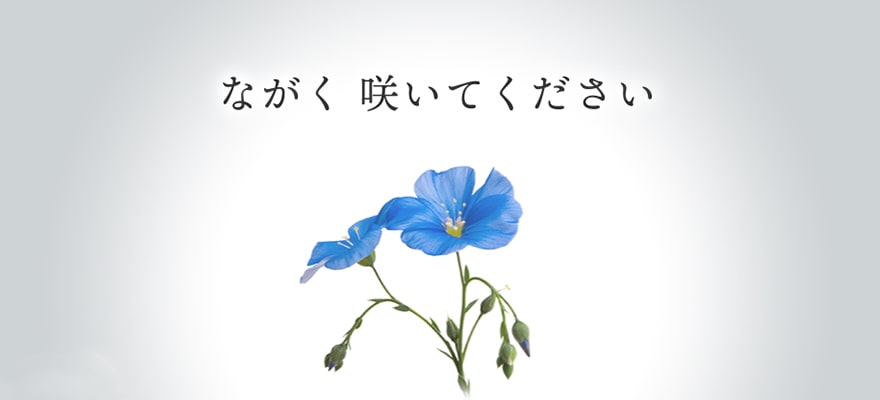 ながく 咲いてください